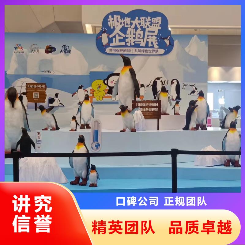 海洋主题动物表演海狮表演出租质量保证