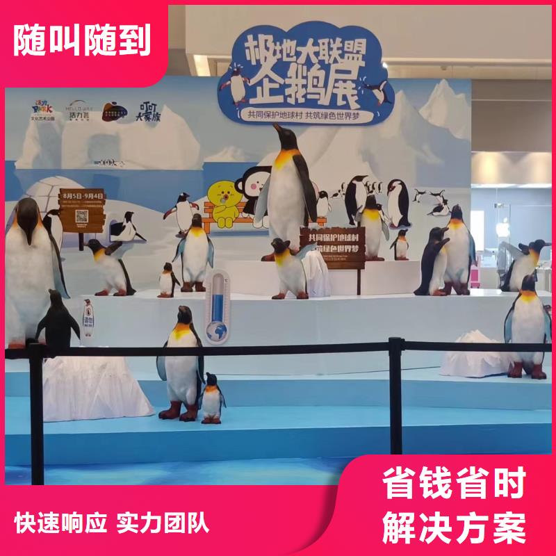 海洋主題動(dòng)物表演動(dòng)物表演歡迎詢價(jià)