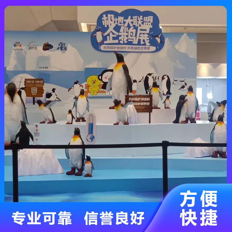 海洋主题动物表演马戏团表演价格低于同行