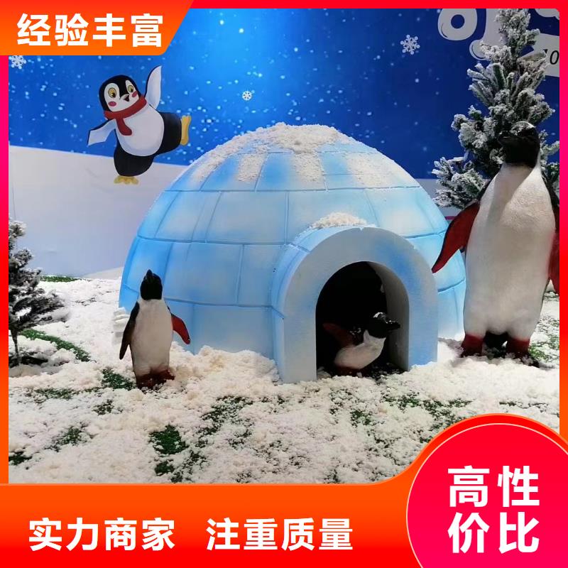 海洋主題動物表演【鸚鵡表演出租】免費咨詢