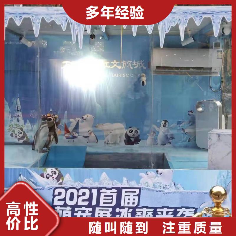 海洋主题动物表演【马戏团表演】经验丰富