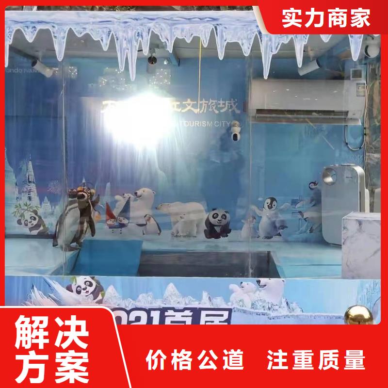 海洋主题动物表演_出租表演萌宠