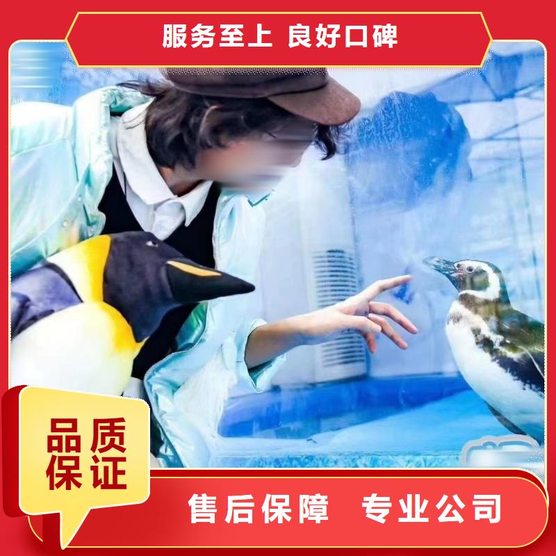 【海洋主題動(dòng)物表演】雜技表演技術(shù)可靠