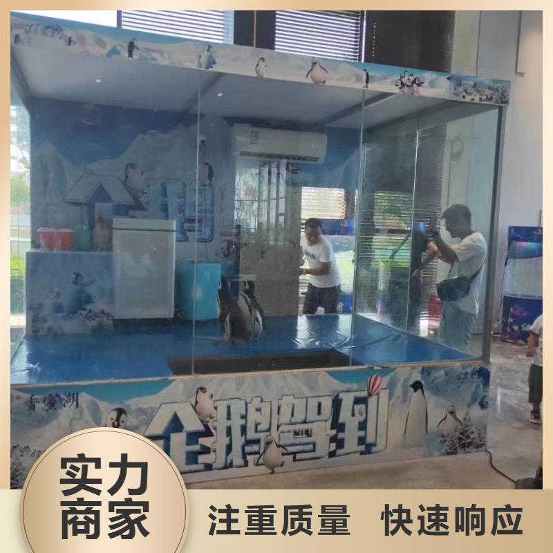 海洋主題動物表演海洋展租賃實力強(qiáng)有保證