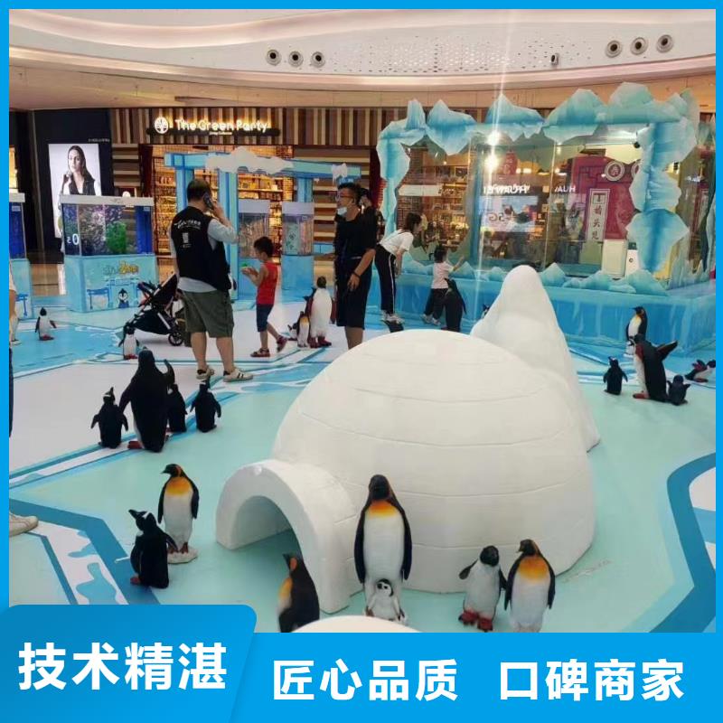 海洋主題動(dòng)物表演_海獅演出2025公司精心
