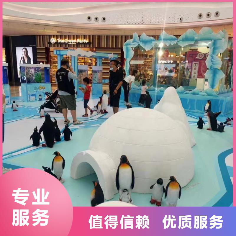 海洋主題動物表演海獅表演租賃實力公司