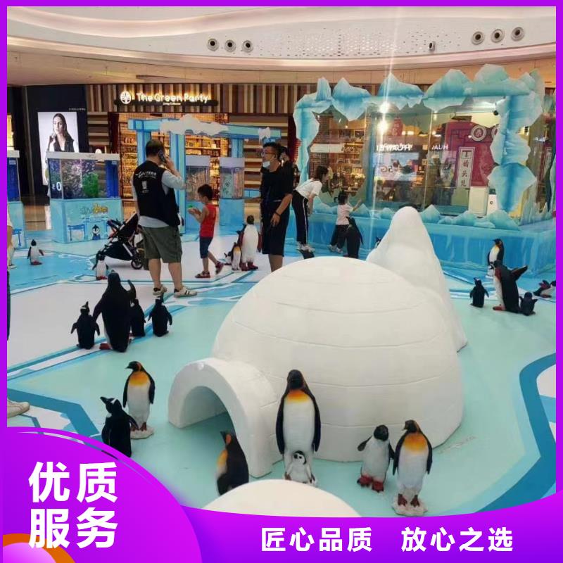 海洋主题动物表演羊驼出租有实力