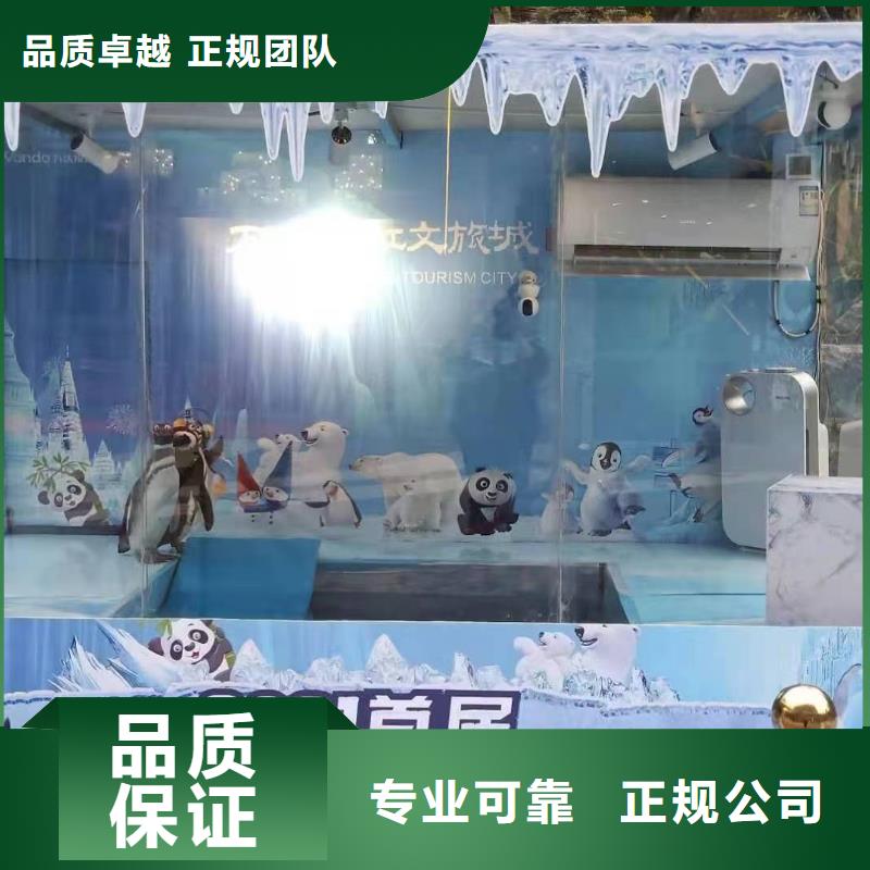 海洋主題動(dòng)物表演海獅表演租賃實(shí)力公司