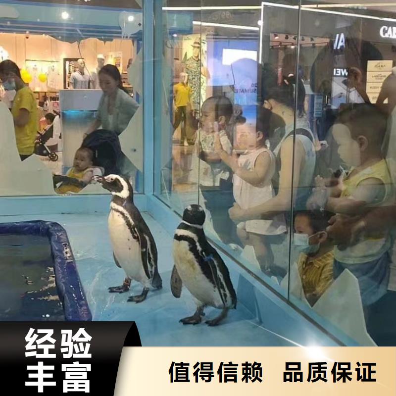 海洋主题动物表演海洋展租赁良好口碑
