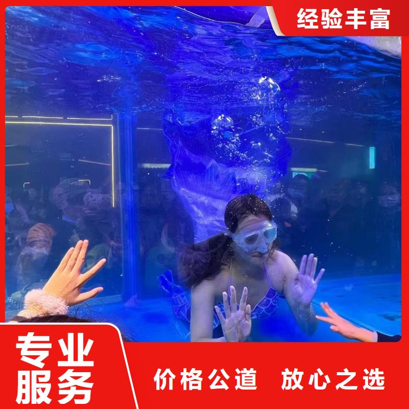 海洋主題動(dòng)物表演-環(huán)球飛車(chē)表演出租信譽(yù)保證
