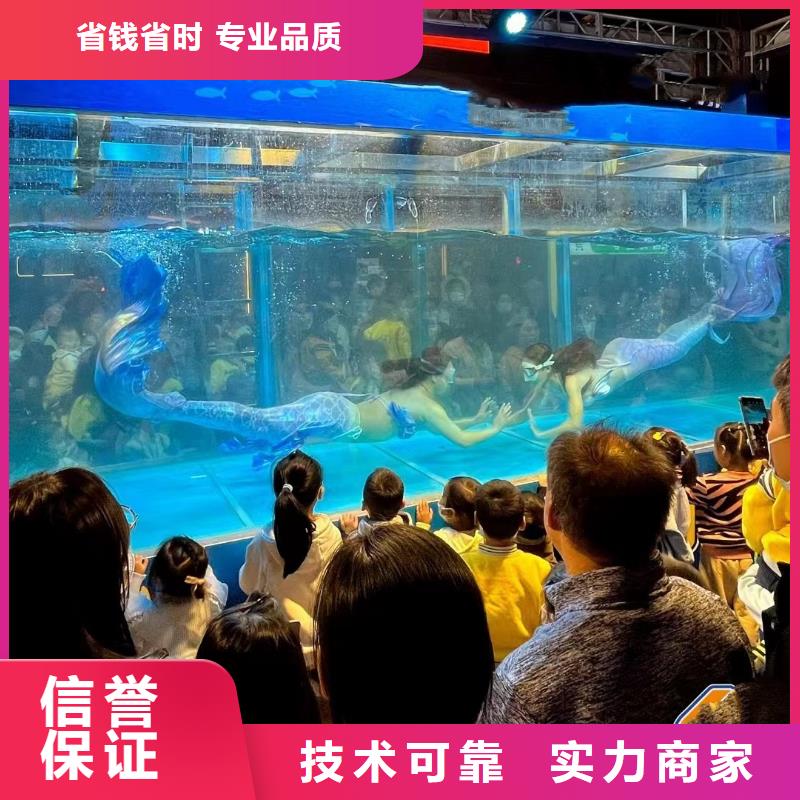 海洋主題動物表演_美人魚表演齊全
