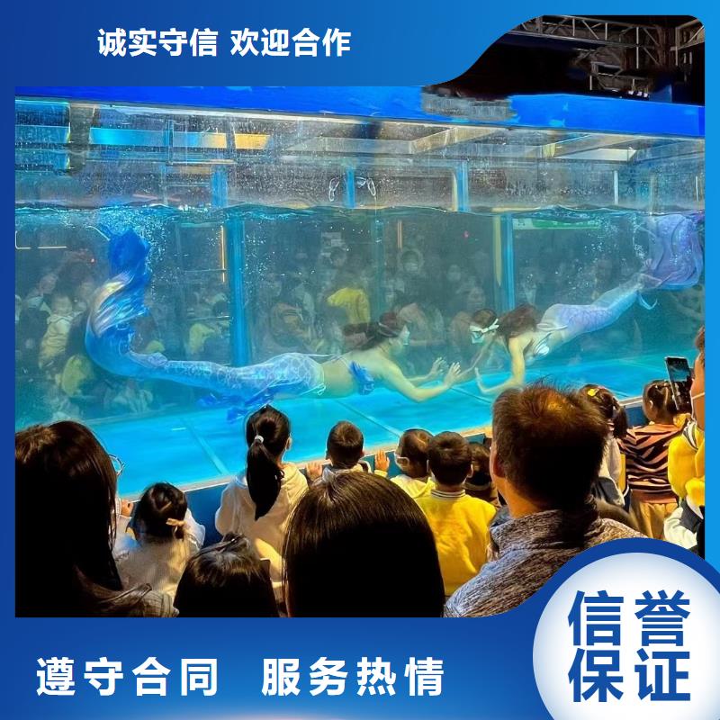 海洋主题动物表演 马戏团表演实力商家