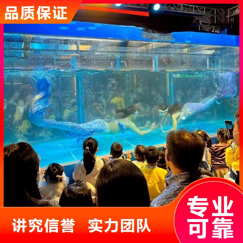 海洋主題動物表演-【美人魚表演】放心