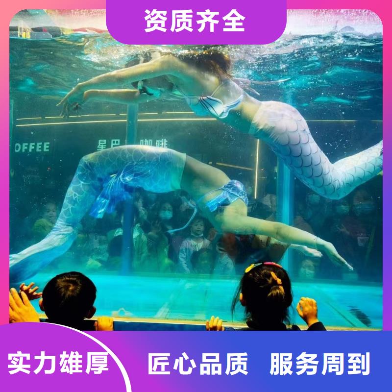 海洋主题动物表演马戏团表演价格低于同行