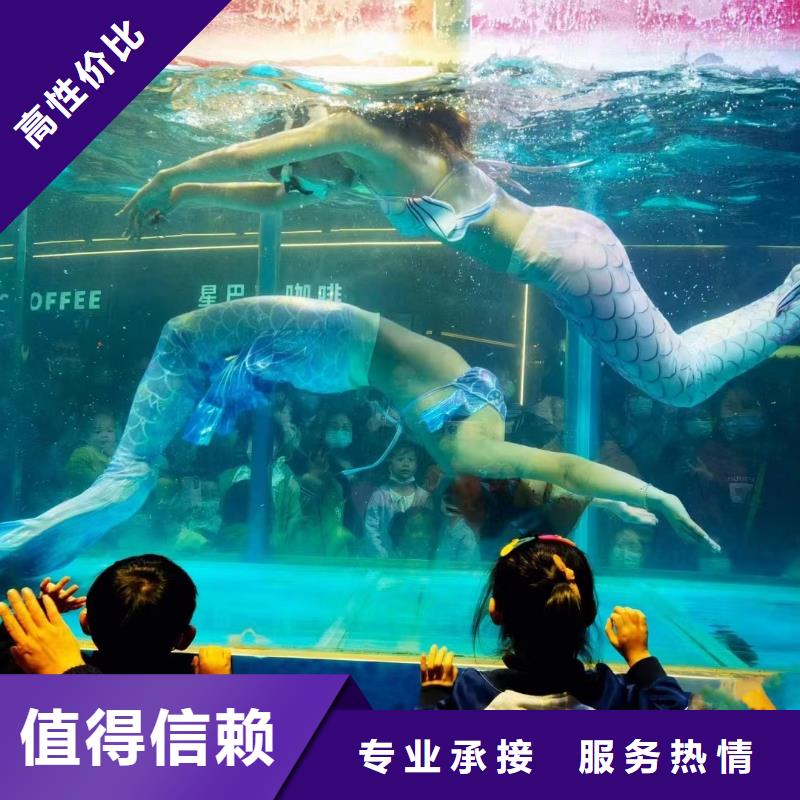 海洋主題動(dòng)物表演海獅表演租賃實(shí)力公司