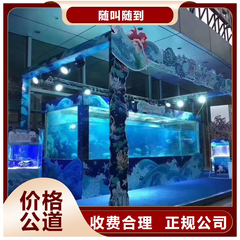 海洋主题动物表演羊驼出租专业品质