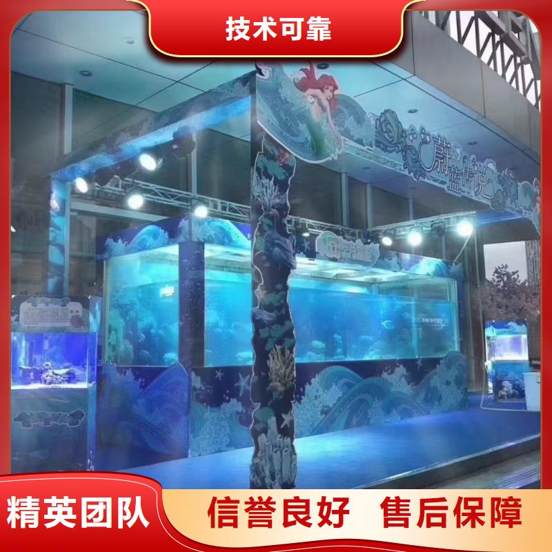 海洋主题动物表演企鹅租赁快速