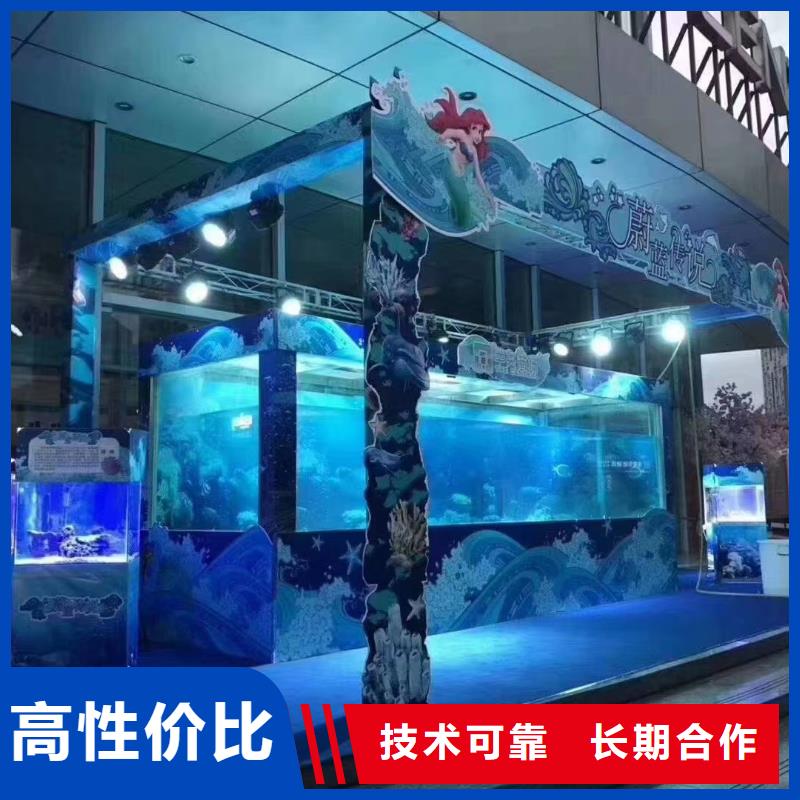 海洋主題動物表演 馬戲團出租 2025公司