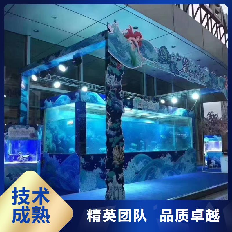 海洋主題動物表演,出租表演海獅價格美麗