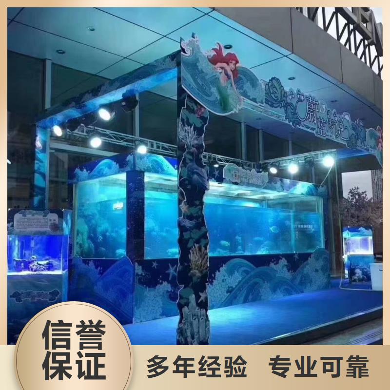 海洋主题动物表演_小马戏出租比同行便宜