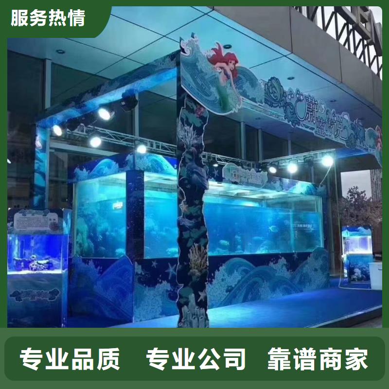 海洋主题动物表演_羊驼表演品质优