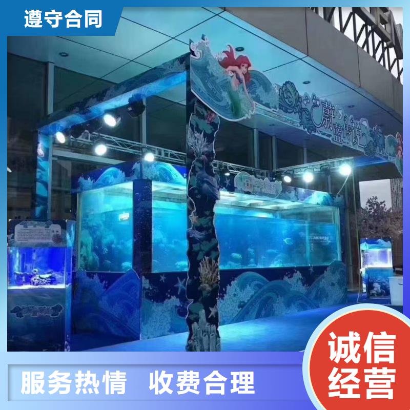 【海洋主題動物表演小香豬寵物出租良好口碑】