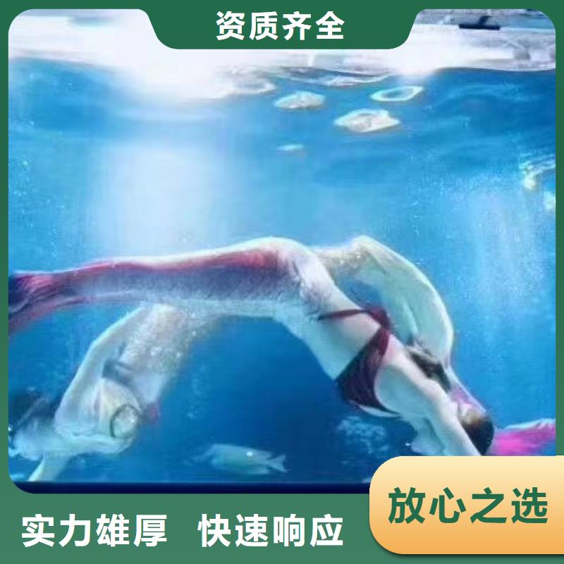 海洋主題動物表演羊駝出租實(shí)力團(tuán)隊(duì)