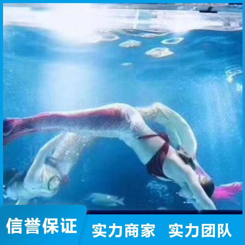 海洋主題動(dòng)物表演 雜技表演專業(yè)服務(wù)