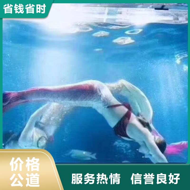 海洋主題動(dòng)物表演_小馬戲出租比同行便宜
