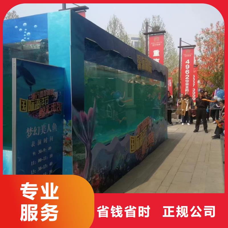 【海洋主題動(dòng)物表演出租馬戲表演服務(wù)周到】