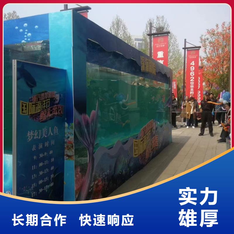 【海洋主題動(dòng)物表演出租馬戲表演服務(wù)周到】