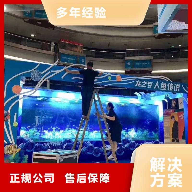 海洋主题动物表演出租表演鹦鹉从业经验丰富