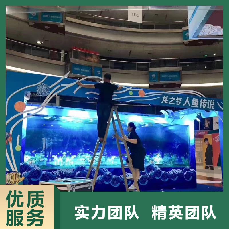 海洋主题动物表演房地产开盘庆典拒绝虚高价
