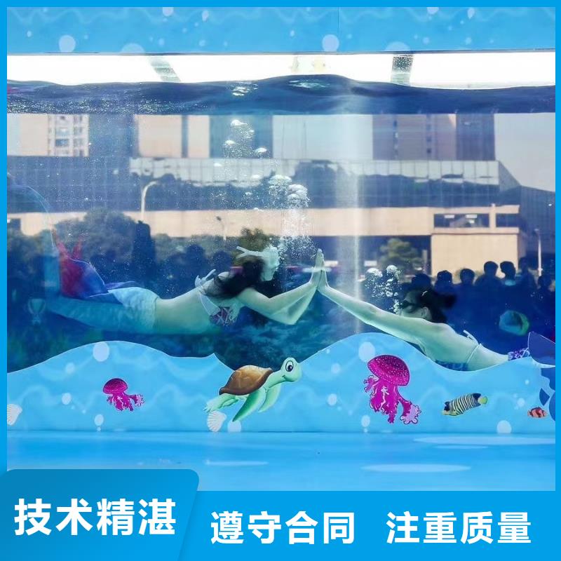 【海洋主题动物表演,出租表演萌宠实力强有保证】