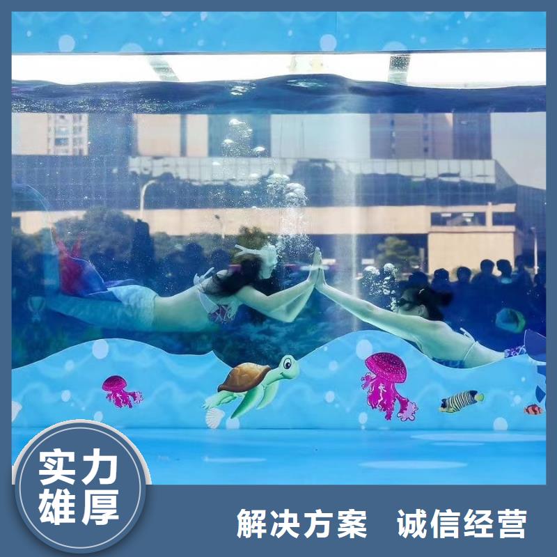 海洋主题动物表演企鹅租赁一对一服务