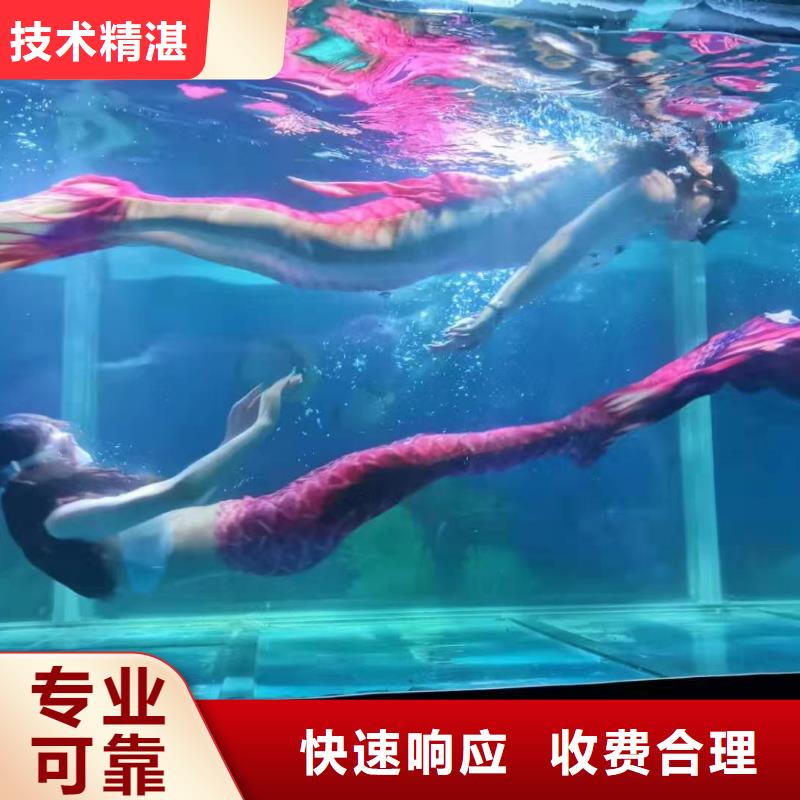 海洋主題動物表演,【活體羊駝租賃】團(tuán)隊(duì)