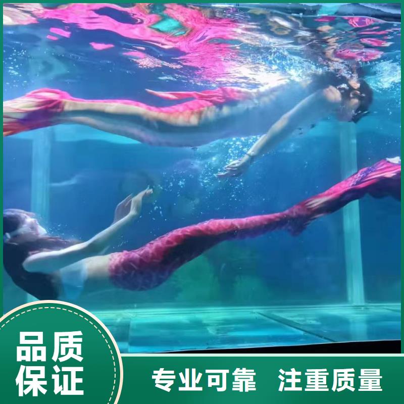 【海洋主題動(dòng)物表演】【海獅租賃表演】品質(zhì)卓越