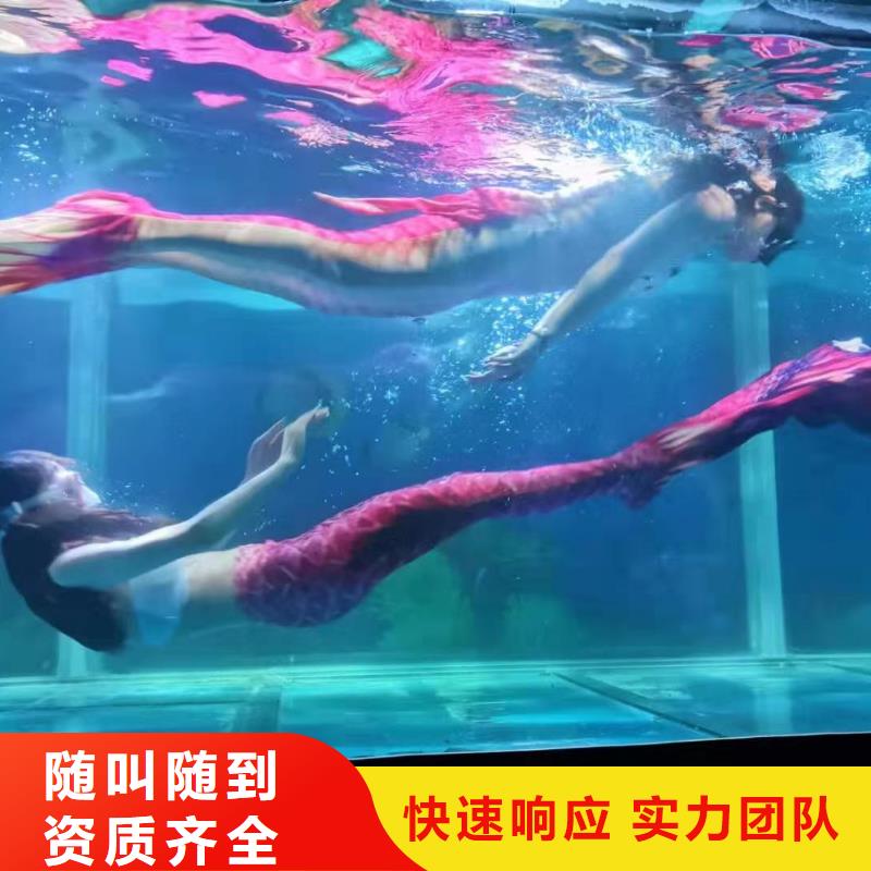 海洋主题动物表演动物表演欢迎询价