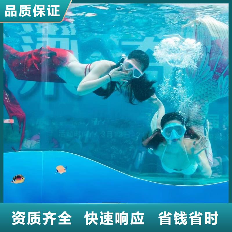 【海洋主題動物表演】【海獅租賃表演】品質(zhì)卓越