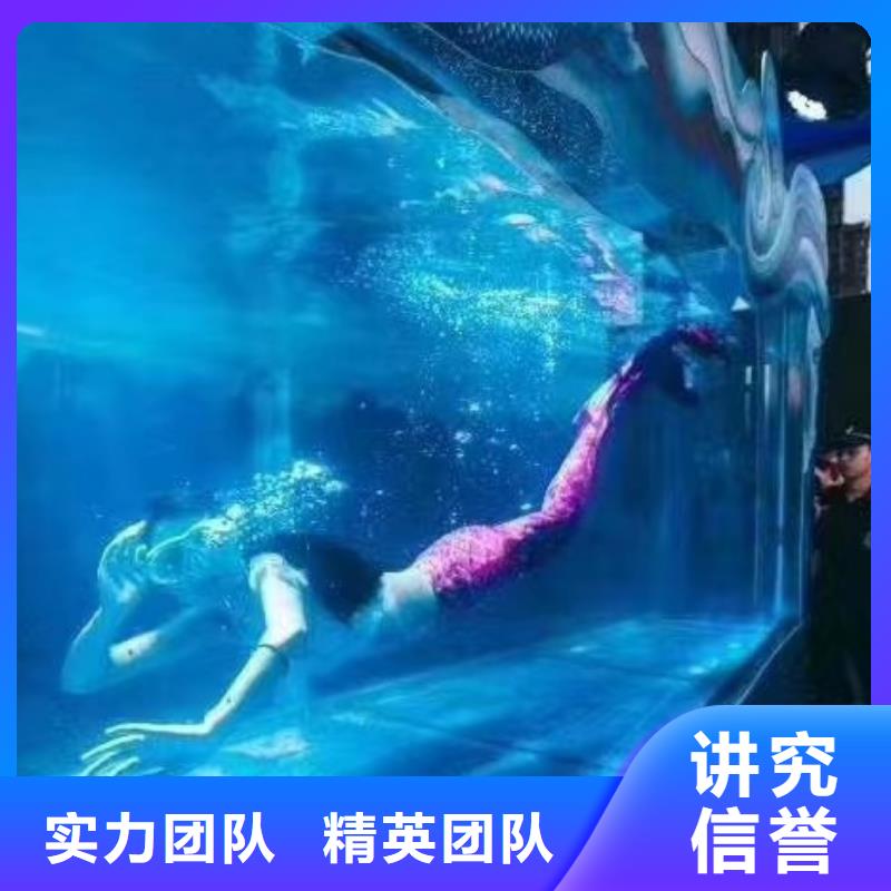 【海洋主題動物表演】海獅表演出租長期合作