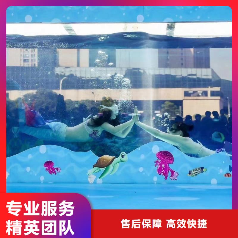 海洋主題動物表演,出租馬戲團表演服務熱情