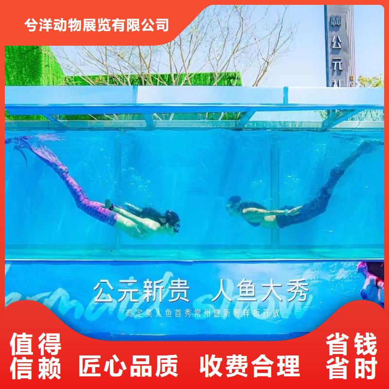 海洋主题动物表演【杂技表演】高性价比