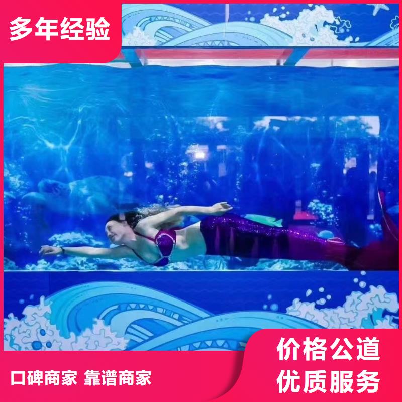 海洋主題動物表演 馬戲團出租 2025公司