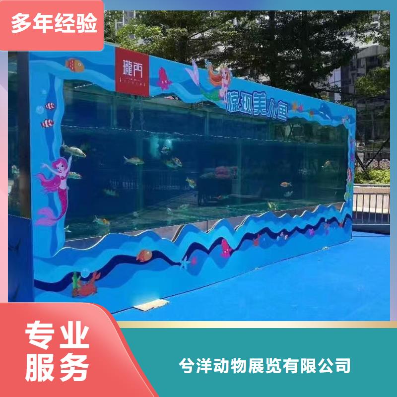 海洋主题动物表演鹦鹉表演信誉良好