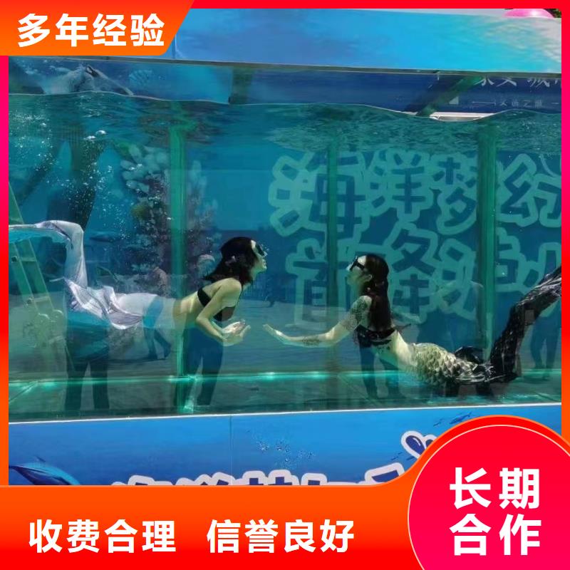 海洋主題動物表演吉祥百鳥展價格公道