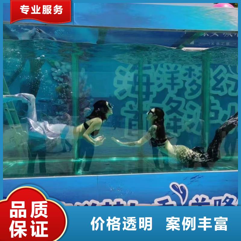 海洋主題動物表演海獅表演出租快捷
