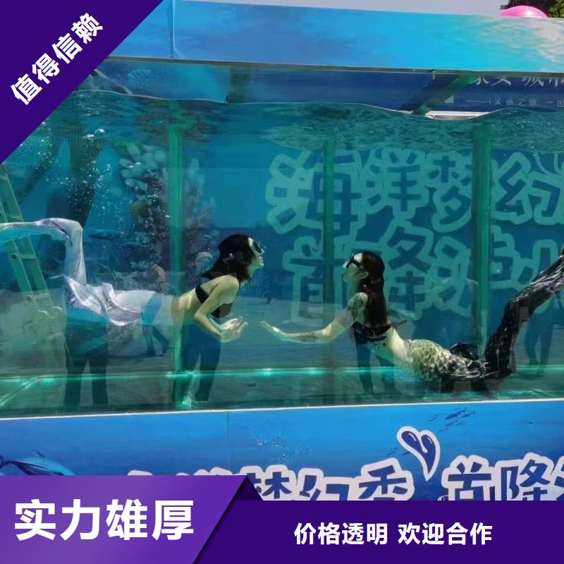 海洋主題動物表演死輪表演服務周到