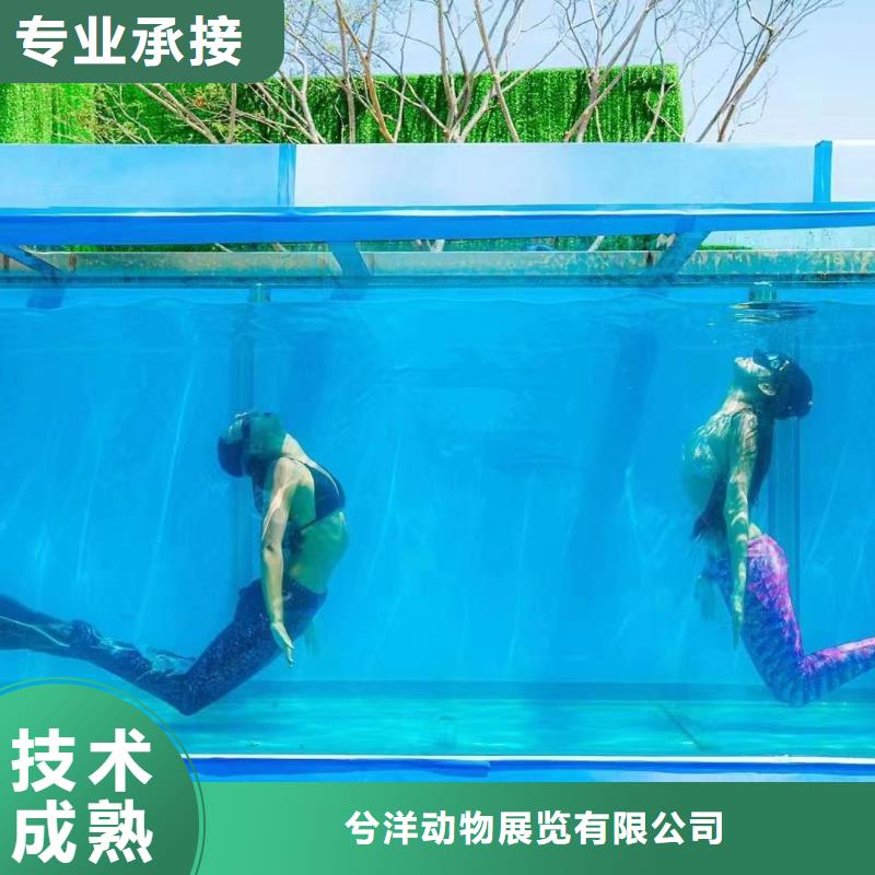 海洋主题动物表演羊驼出租专业品质