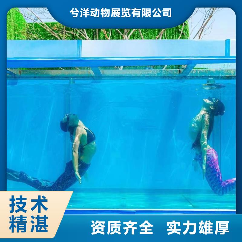 海洋主題動(dòng)物表演雜技表演遵守合同