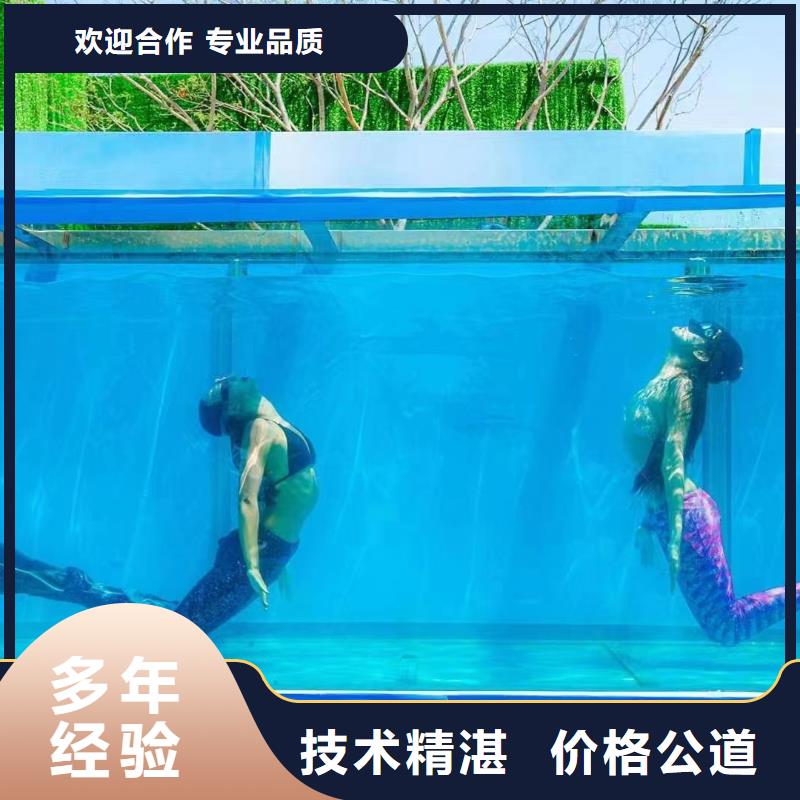 海洋主題動(dòng)物表演出租企鵝快速響應(yīng)